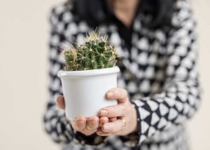 Personal Branding Fotografie